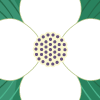 Bunchberry Dogwood