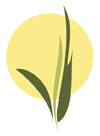 Golden Valley Farms Logo