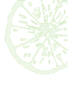 Web Sites